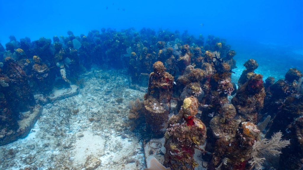 Half Day Art Museum Tour & Snorkeling in MUSA