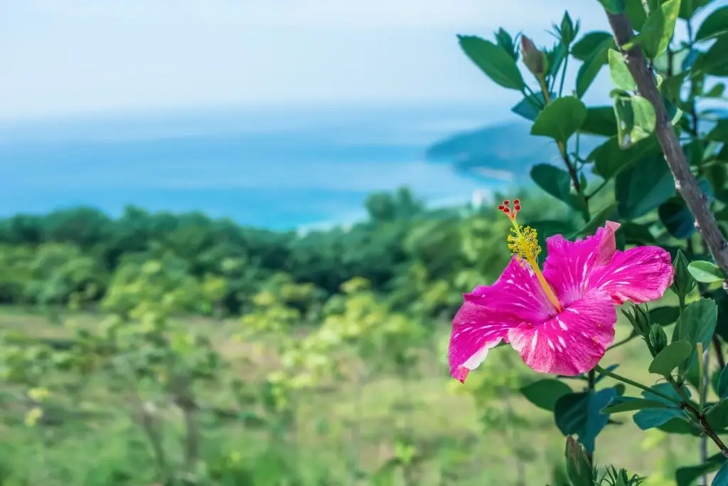 Big Island, Hawaii