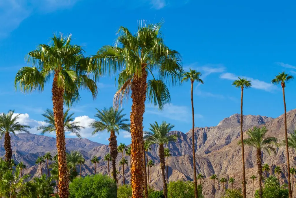 Palm Springs, California