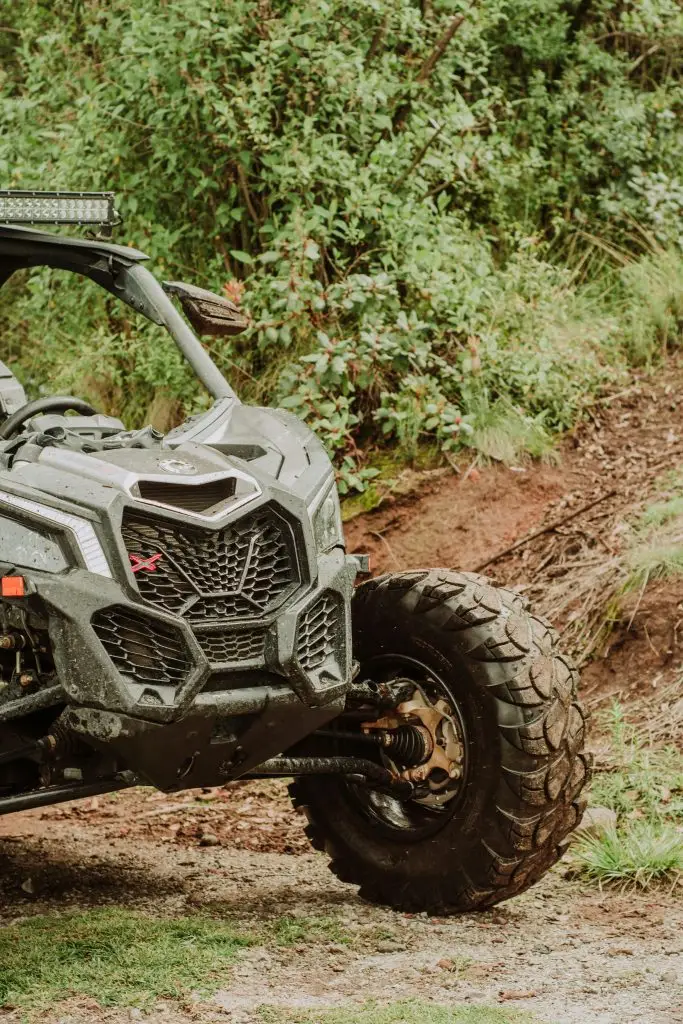 Buggy & Bike Tours