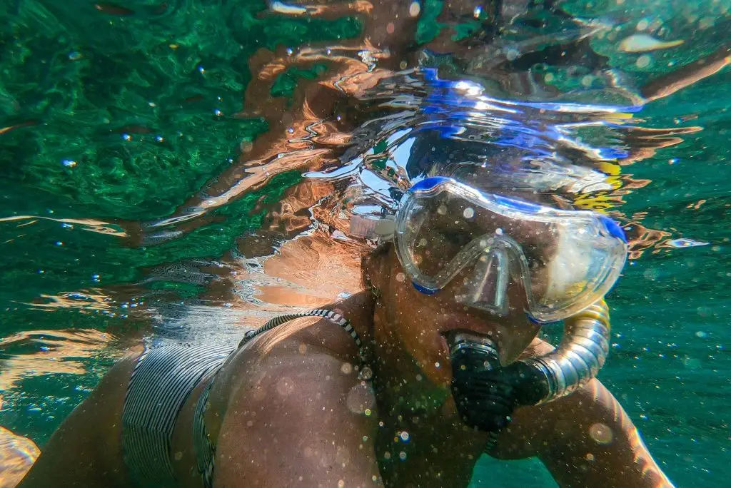 Boat Tours & Snorkeling