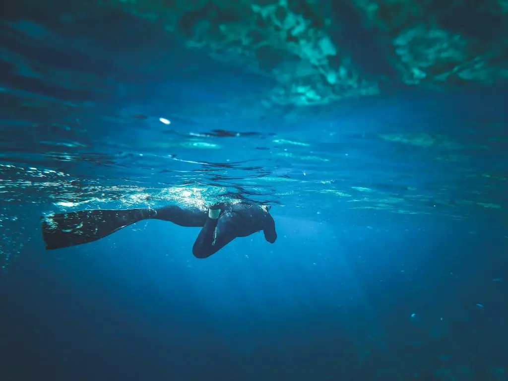Aventuras submarinas