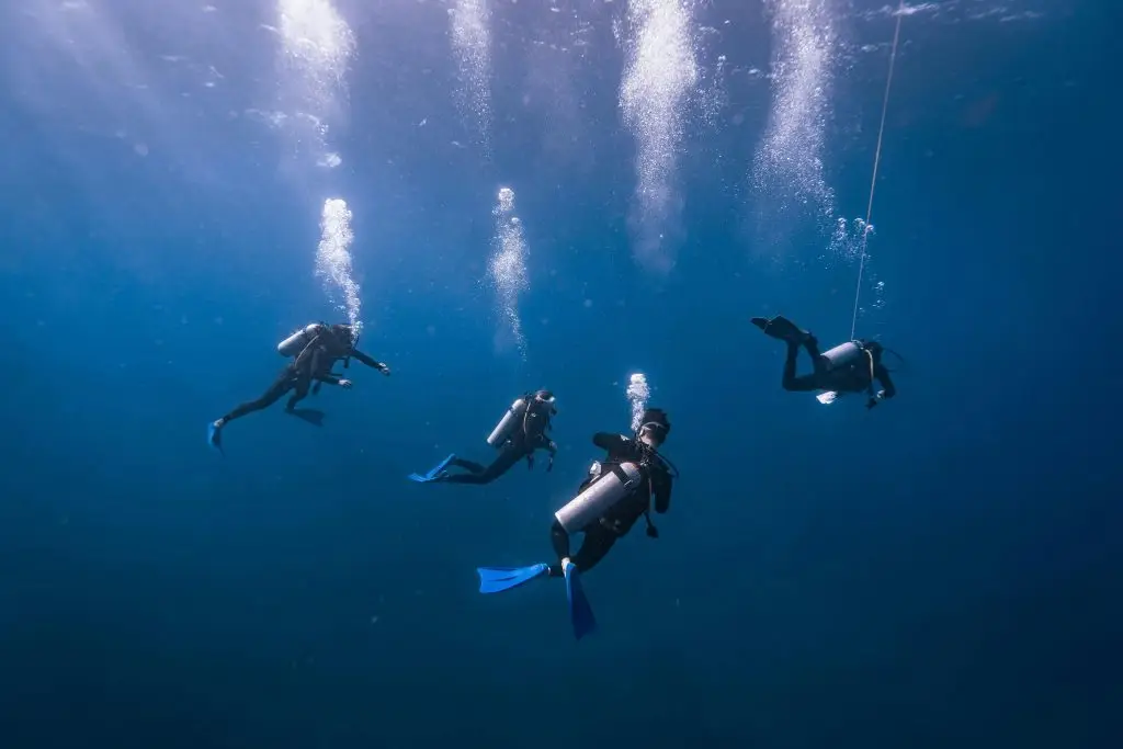 Experiencias de buceo