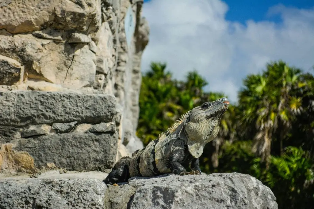Nature & Wildlife Tours