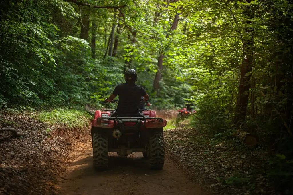 Golf Cart Rentals