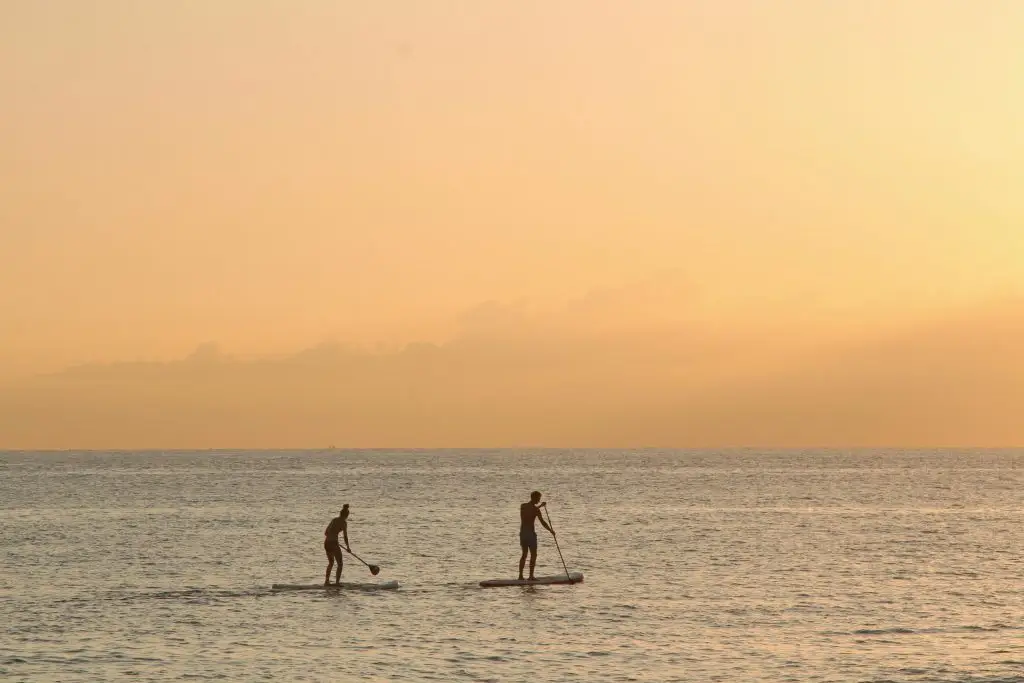 Kayak & Paddleboard Tours