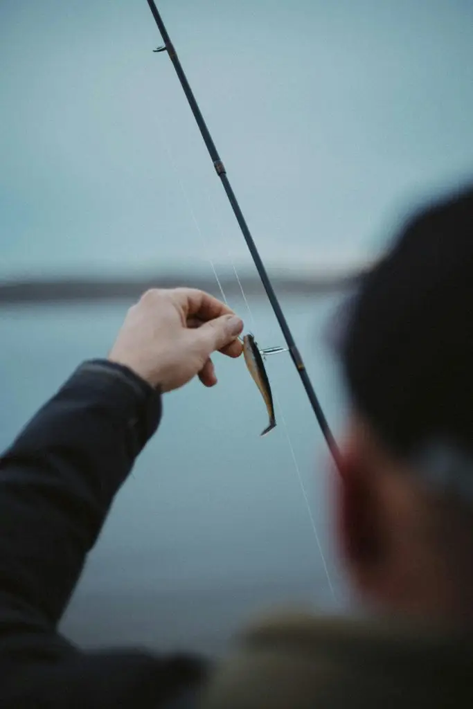 Boat Tours & Fishing Charters