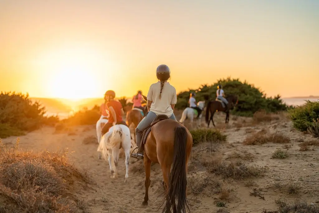 Nature & Outdoor Tours