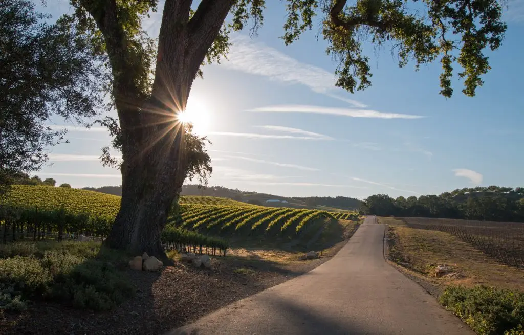 Paso Robles, California