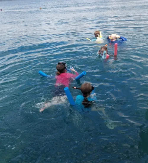 1000438064