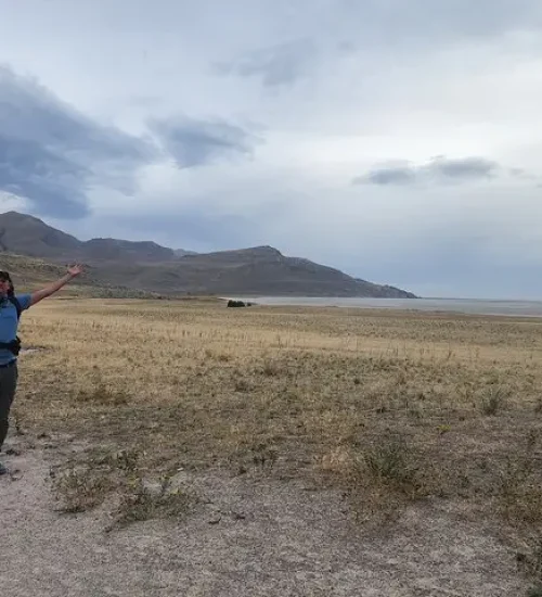 359cd483-077c-460f-b8db-02dfe92ae925_Darren_antelope_9_viatorpic_lg