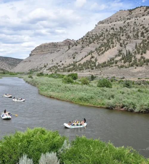 90a2c472-80f6-46ed-8d28-c8b429fb8639_Fc5vRONTIWm02Iq1fl5b