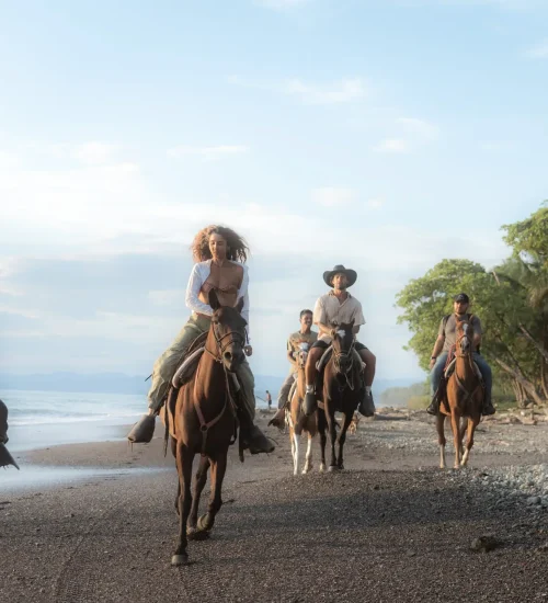 horseback riding