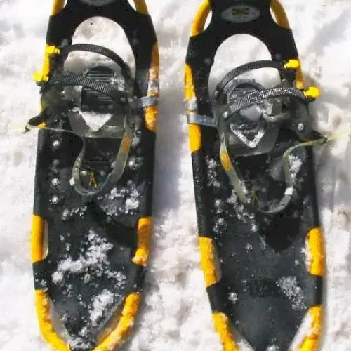 Atlas_snowshoes