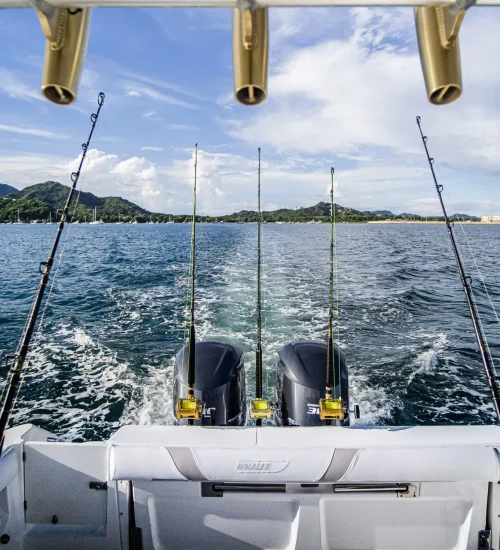 BW-view-reels