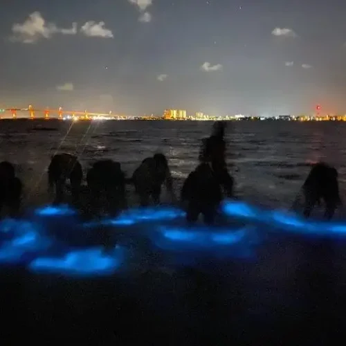 Bio-Boats