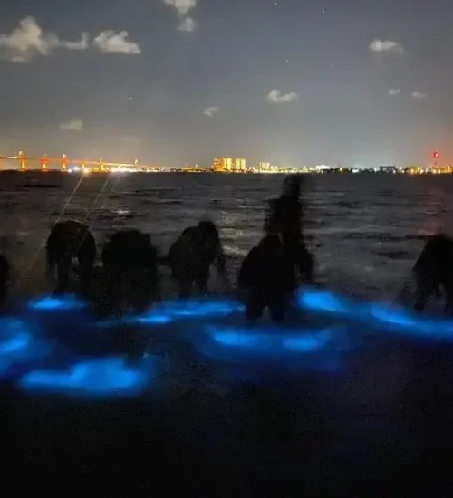 Bio-Boats