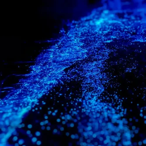 Bio-Sparkle