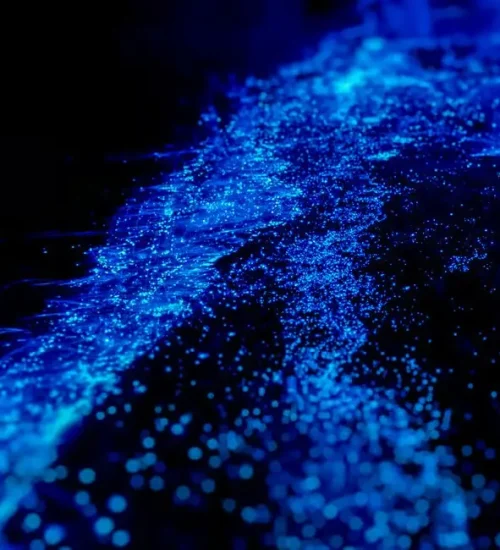 Bio-Sparkle