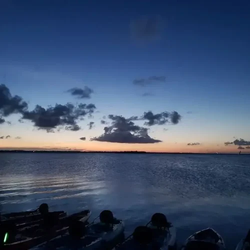 Bio-Sunset