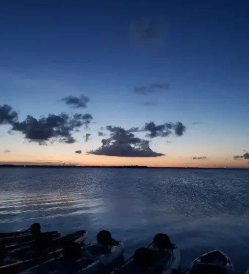 Bio-Sunset