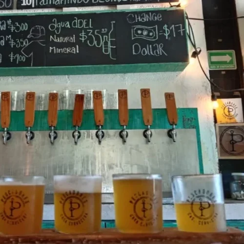 Brewery-Tour-_-Craft-Beer-Tasting-Cancun-Mexico-tulakamexico.com-7