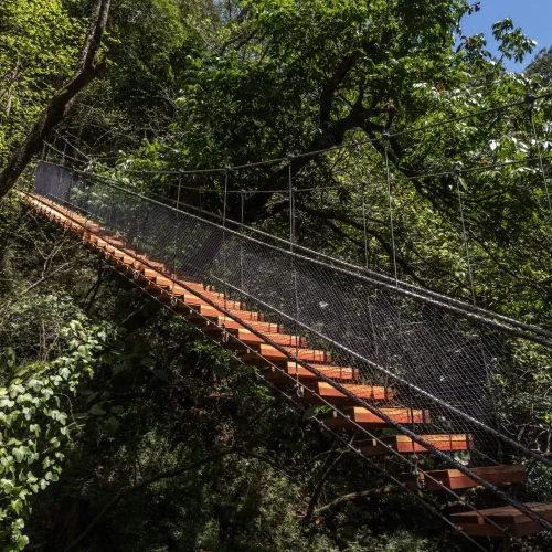 DJI_20240519133147_0429_D-1-scaled