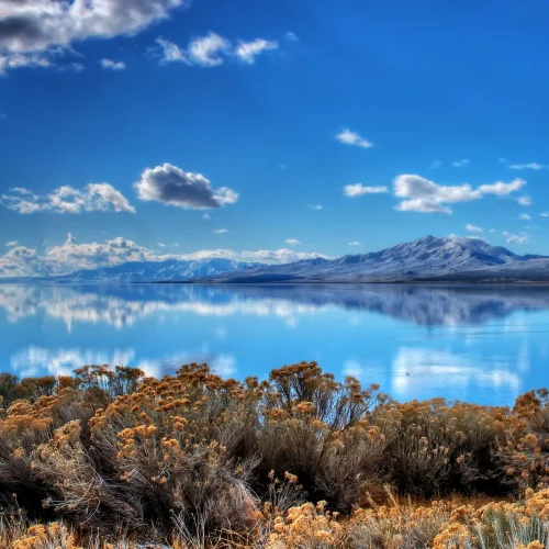 Day-Tour-Great-Salt-Lake-Antelope-Island-Great-Salt-Lake-2-1-1