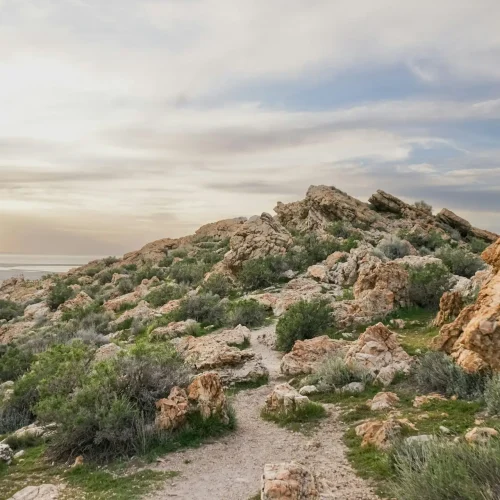 Day-Tour-Great-Salt-Lake-Antelope-Island-View-1