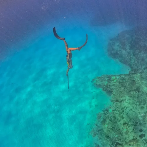 Diving