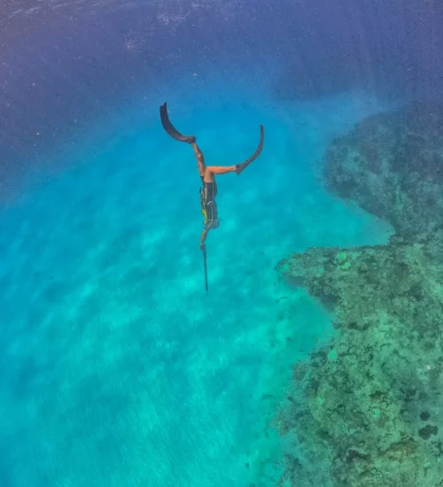 Diving