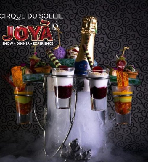Cirque JOYA
