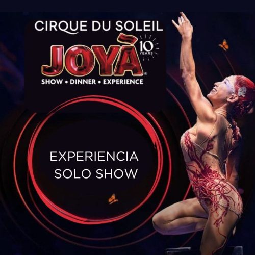 Cirque JOYA