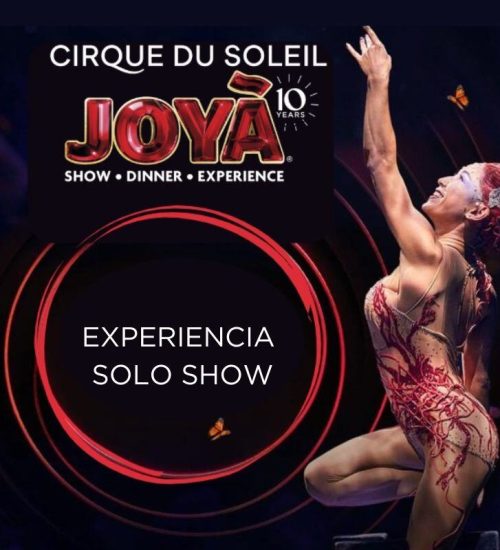 Cirque JOYA