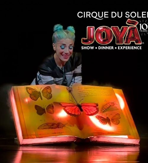 Cirque JOYA