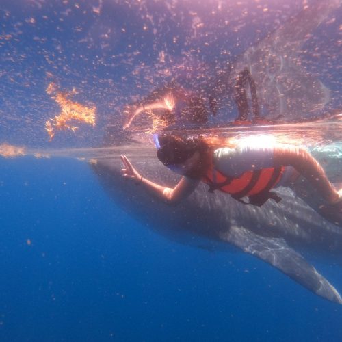 DCIM100GOPROGOPR3722.JPG