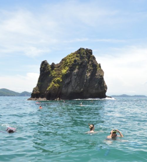 ISLA TORTUGA AGOSTO 2016 (3)