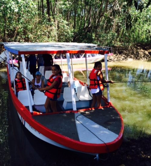 Isla-Damas-Mangrove-Fishing-Charter-2