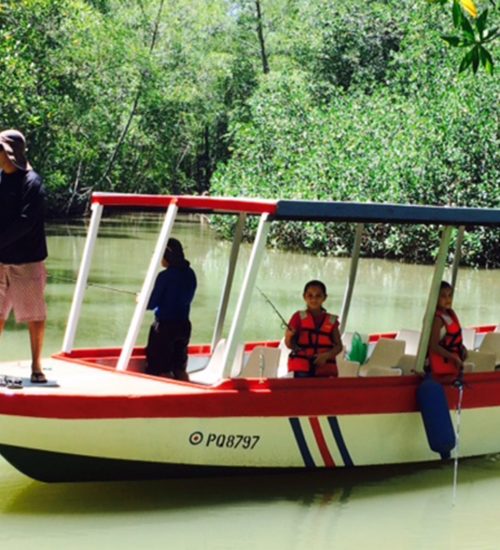 Isla-Damas-Mangrove-Fishing-Charter-3