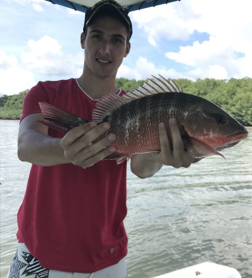 Isla-Damas-Mangrove-Fishing-Charter-6