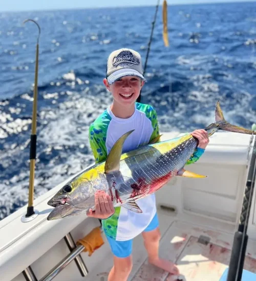 Kid-yellowfin