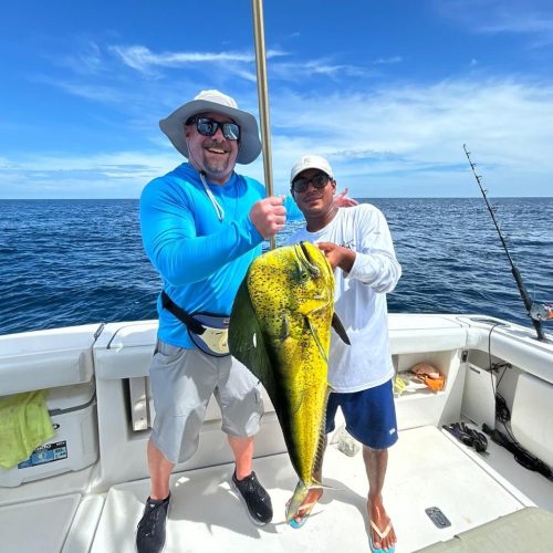 Mahi-mahi-7