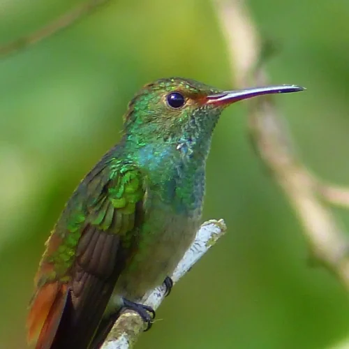 P1030252