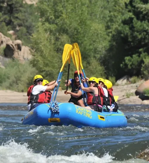 PaddleHighFive