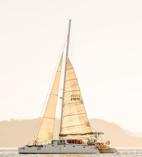 RVG05059