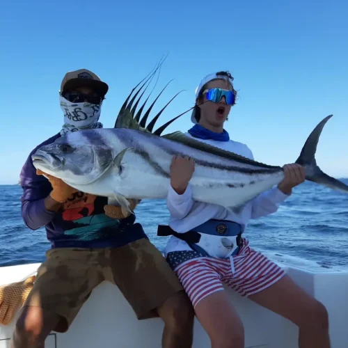 Rooster-fish-2-
