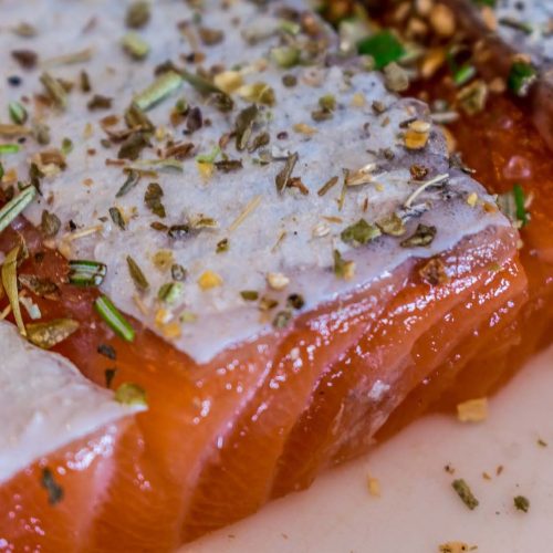 Salmon