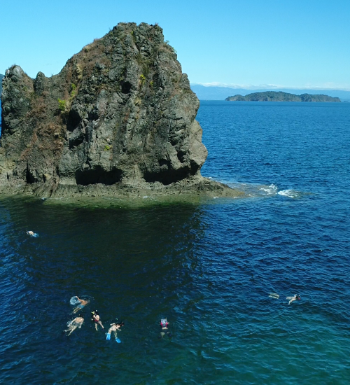 Snorkeling Tortuga