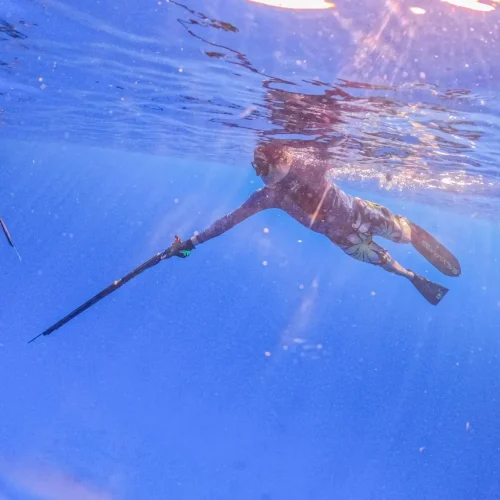 Spear-fishing