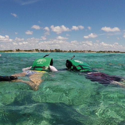 DCIM101GOPROGOPR0029.
